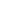 twitter-logo-button